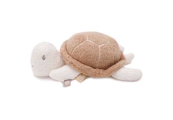 Tortuga sonajero