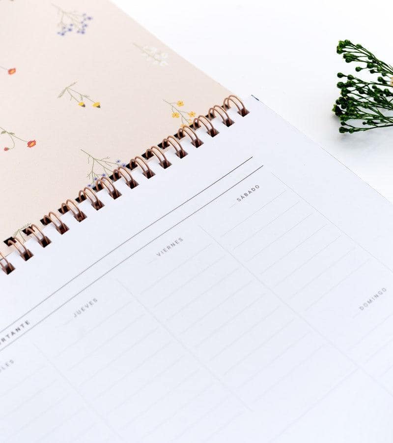 Organizador semanal "Mi plan"