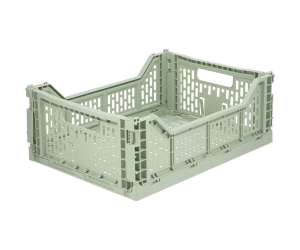 Caja Plegable Mediana Sage