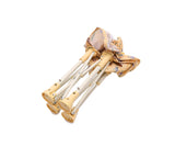 Silla plegable Infantil Wild Animals