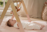 Baby Gym Fairy Garden