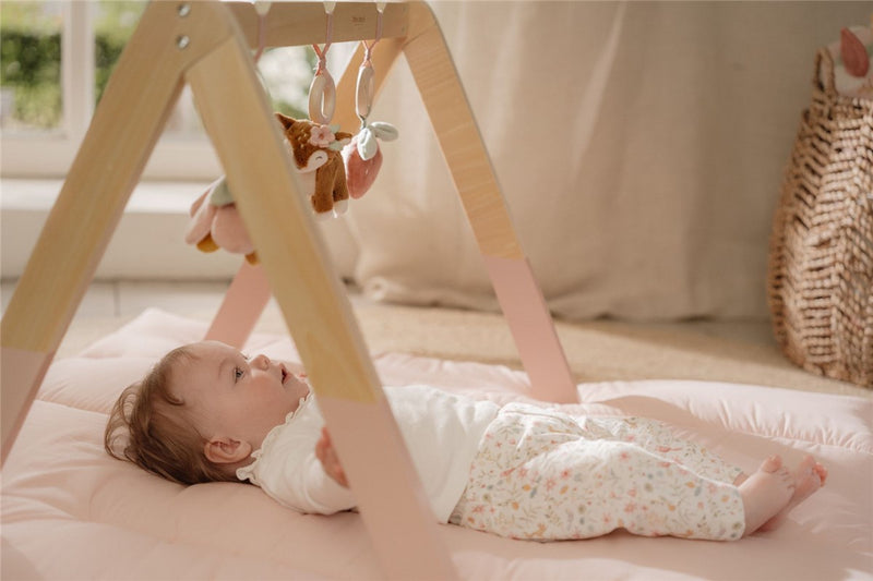 Baby Gym Fairy Garden