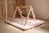 Baby Gym Fairy Garden
