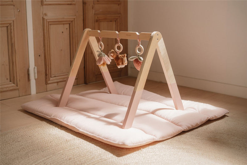 Baby Gym Fairy Garden