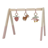 Baby Gym Fairy Garden