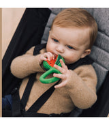 Watermelon Rattle Toy