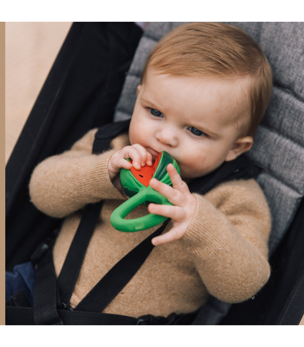 Watermelon Rattle Toy